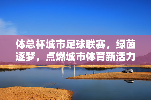 体总杯城市足球联赛，绿茵逐梦，点燃城市体育新活力，体总杯城市足球联赛，绿茵逐梦点燃城市体育新活力