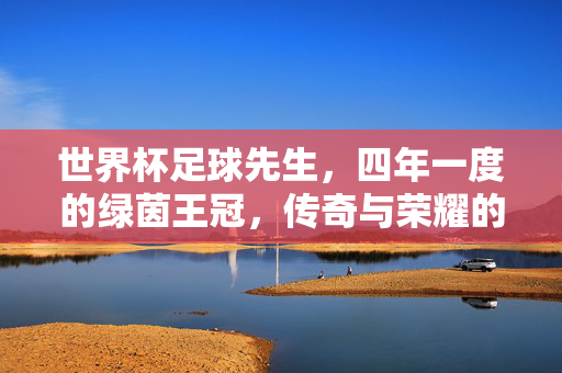 世界杯足球先生，四年一度的绿茵王冠，传奇与荣耀的见证，四年一度的绿茵王冠，世界杯足球先生的传奇与荣耀