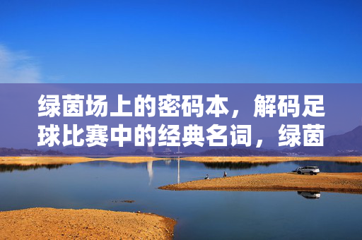 绿茵场上的密码本，解码足球比赛中的经典名词，绿茵场密码本，解码足球经典名词