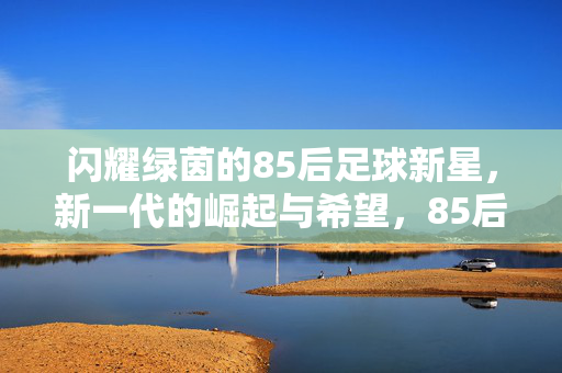闪耀绿茵的85后足球新星,新一代的崛起与希望,85后新星闪耀绿茵,新一代足球崛起的希望