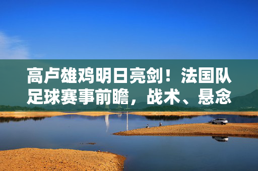 高卢雄鸡明日亮剑！法国队足球赛事前瞻，战术、悬念与热血期待，高卢雄鸡明日亮剑！法国队足球前瞻，战术解析、悬念对决与热血期待
