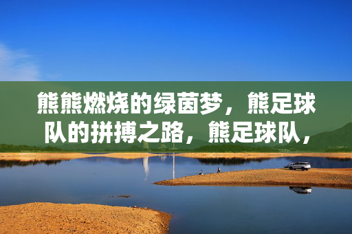 熊熊燃烧的绿茵梦，熊足球队的拼搏之路，熊足球队，燃梦绿茵的拼搏之路