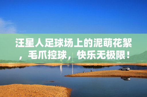 汪星人足球场上的泥萌花絮,毛爪控球,快乐无极限!汪星人毛爪控球,足球场快乐无极限