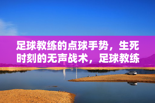 足球教练的点球手势，生死时刻的无声战术，足球教练的点球手势，无声的生死战术