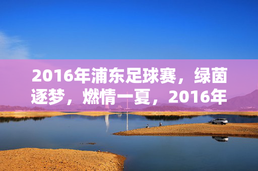 2016年浦东足球赛，绿茵逐梦，燃情一夏，2016年浦东足球赛，绿茵逐梦，燃情一夏