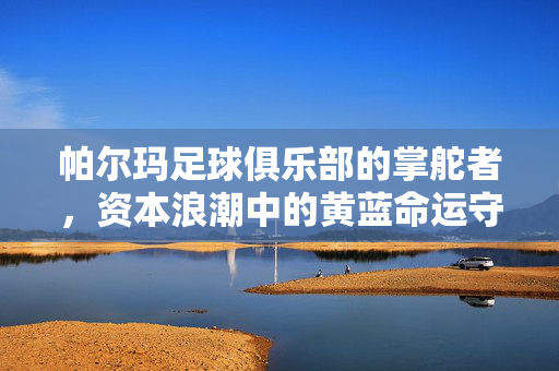 帕尔玛足球俱乐部的掌舵者，资本浪潮中的黄蓝命运守望者，帕尔玛掌舵者，资本浪潮中的黄蓝命运守望者