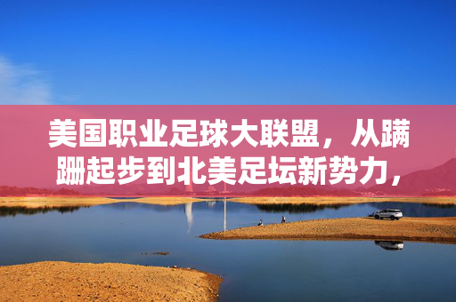 美国职业足球大联盟,从蹒跚起步到北美足坛新势力,美国职业足球大联盟,从蹒跚起步到北美足坛新势力