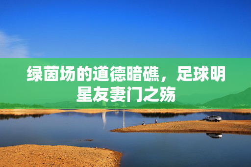 绿茵场的道德暗礁，足球明星友妻门之殇
