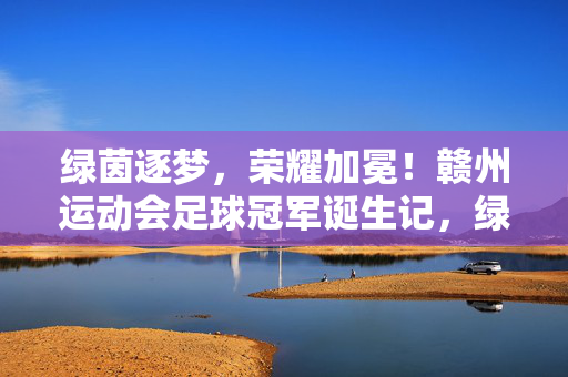 绿茵逐梦，荣耀加冕！赣州运动会足球冠军诞生记，绿茵逐梦，赣州足球冠军荣耀诞生