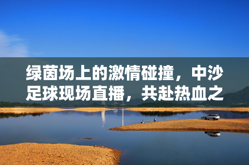 绿茵场上的激情碰撞，中沙足球现场直播，共赴热血之约，中沙足球现场直播，激情碰撞，共赴热血之约