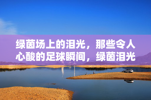 绿茵场上的泪光，那些令人心酸的足球瞬间，绿茵泪光，足球场上的心酸瞬间