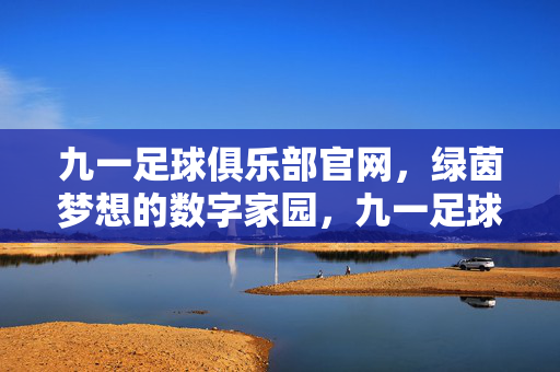 九一足球俱乐部官网，绿茵梦想的数字家园，九一足球俱乐部官网，绿茵梦想的数字家园