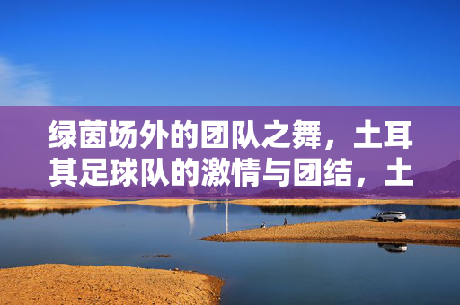 绿茵场外的团队之舞，土耳其足球队的激情与团结，土耳其足球队，绿茵场外的激情团结之舞