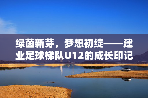 绿茵新芽,梦想初绽——建业足球梯队U12的成长印记,建业U12新芽初绽,绿茵成长印记