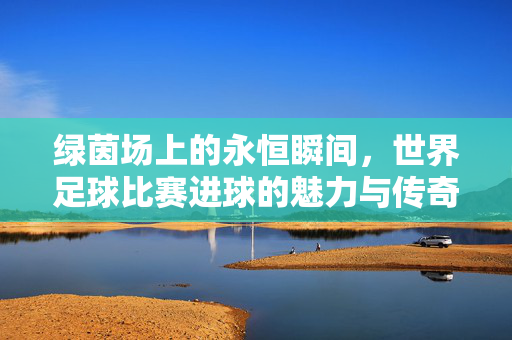 绿茵场上的永恒瞬间，世界足球比赛进球的魅力与传奇