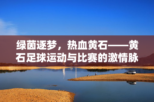 绿茵逐梦,热血黄石——黄石足球运动与比赛的激情脉动