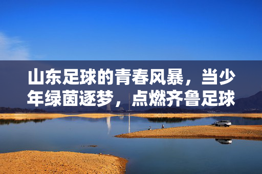 山东足球的青春风暴,当少年绿茵逐梦,点燃齐鲁足球新希望,山东足球青春风暴,少年逐梦点燃齐鲁新希望