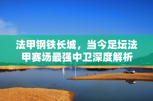 法甲钢铁长城，当今足坛法甲赛场最强中卫深度解析
