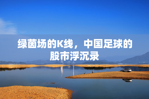 绿茵场的K线，中国足球的股市浮沉录