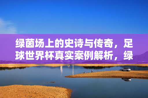 绿茵场上的史诗与传奇，足球世界杯真实案例解析，绿茵史诗传奇，世界杯真实案例解析