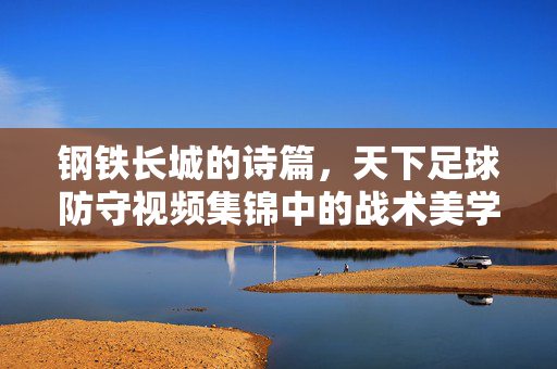 钢铁长城的诗篇，天下足球防守视频集锦中的战术美学与人性光辉，钢铁长城的诗篇，足球防守中的战术美学与人性光辉