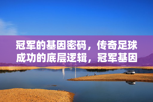 冠军的基因密码，传奇足球成功的底层逻辑，冠军基因密码，传奇足球的底层逻辑
