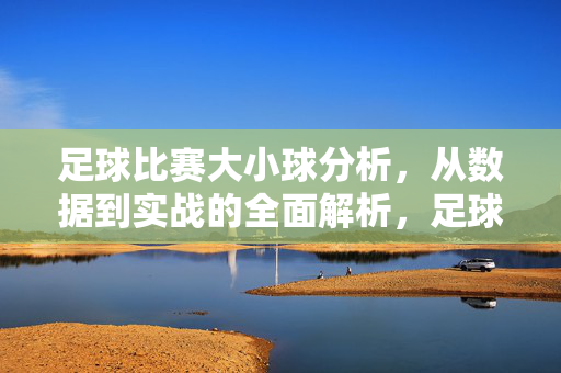 足球比赛大小球分析,从数据到实战的全面解析,足球大小球分析,数据驱动的实战全面解析