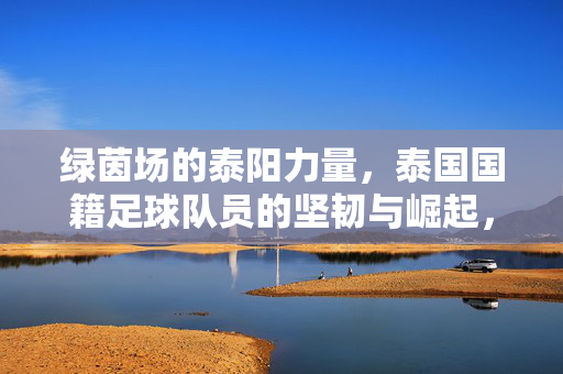 绿茵场的泰阳力量,泰国国籍足球队员的坚韧与崛起,泰阳力量,绿茵场上的泰国球员坚韧与崛起