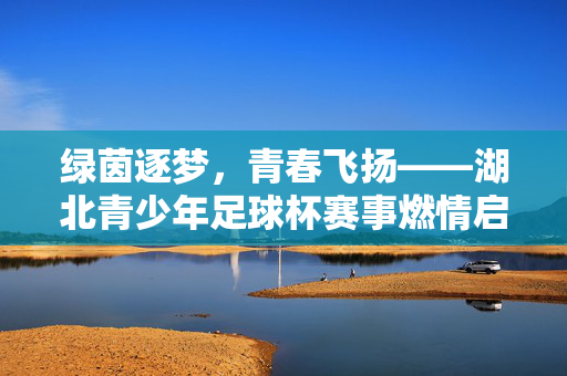 绿茵逐梦，青春飞扬——湖北青少年足球杯赛事燃情启幕