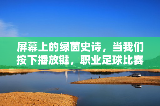 屏幕上的绿茵史诗，当我们按下播放键，职业足球比赛视频在诉说什么？