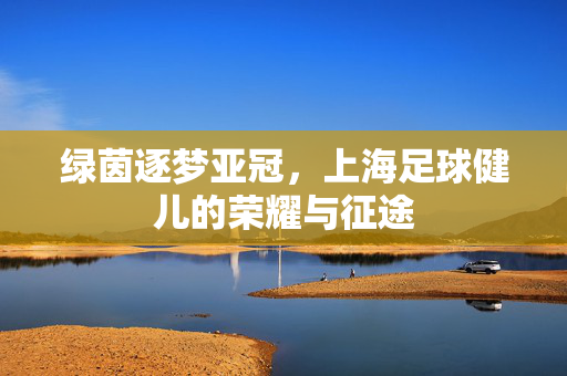 绿茵逐梦亚冠,上海足球健儿的荣耀与征途