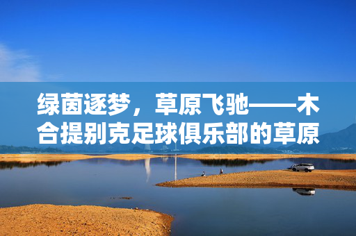 绿茵逐梦，草原飞驰——木合提别克足球俱乐部的草原足球魂，绿茵逐梦，草原飞驰——木合提别克足球俱乐部的草原足球魂