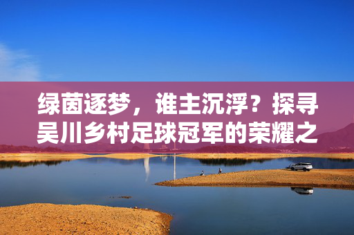 绿茵逐梦，谁主沉浮？探寻吴川乡村足球冠军的荣耀之路