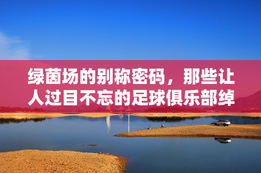 绿茵场的别称密码，那些让人过目不忘的足球俱乐部绰号，绿茵场别称密码，过目难忘的足球俱乐部绰号