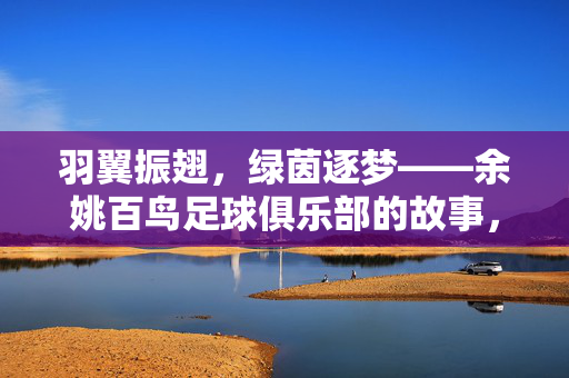 羽翼振翅，绿茵逐梦——余姚百鸟足球俱乐部的故事，羽翼振翅，绿茵逐梦——余姚百鸟足球俱乐部