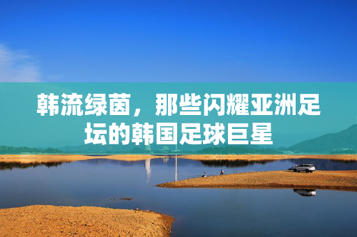 韩流绿茵，那些闪耀亚洲足坛的韩国足球巨星