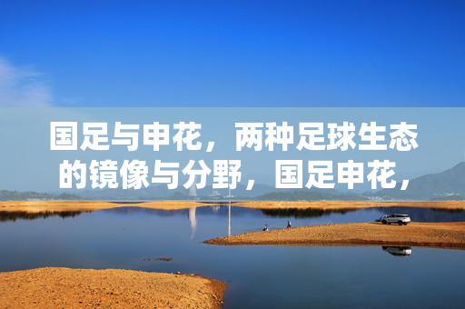 国足与申花，两种足球生态的镜像与分野，国足申花，两种足球生态的镜像分野