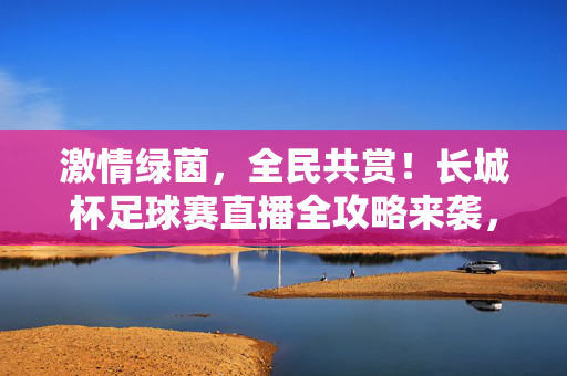 激情绿茵，全民共赏！长城杯足球赛直播全攻略来袭，激情绿茵全民共赏，长城杯足球赛直播全攻略