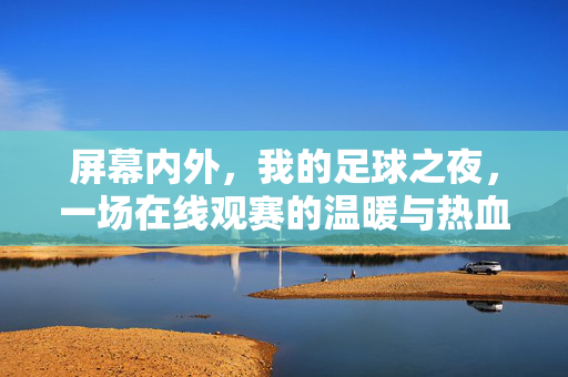 屏幕内外,我的足球之夜,一场在线观赛的温暖与热血,屏幕内外,我的足球之夜,温暖与热血