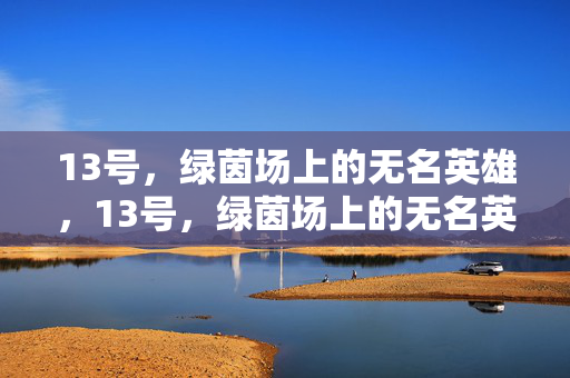 13号,绿茵场上的无名英雄,13号,绿茵场上的无名英雄