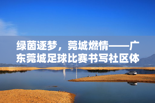 绿茵逐梦,莞城燃情——广东莞城足球比赛书写社区体育新篇,绿茵逐梦莞城,社区体育谱新篇