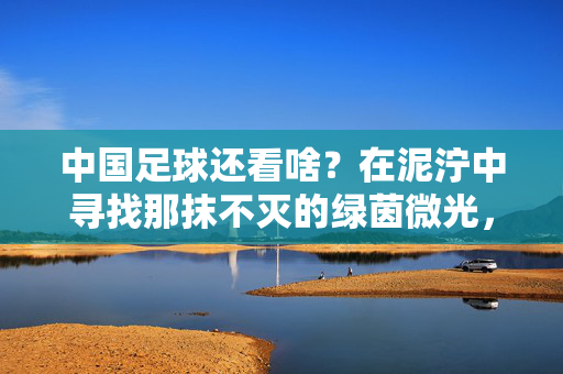 中国足球还看啥？在泥泞中寻找那抹不灭的绿茵微光，中国足球，泥泞里的不灭微光