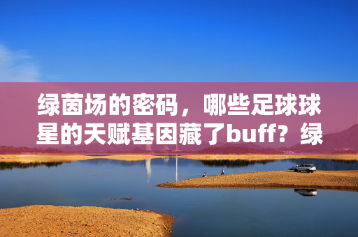 绿茵场的密码，哪些足球球星的天赋基因藏了buff？绿茵场密码，足球球星的天赋基因buff