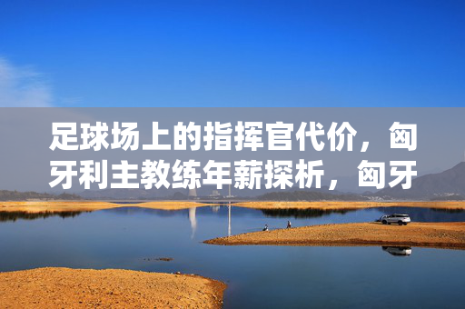 足球场上的指挥官代价，匈牙利主教练年薪探析，匈牙利主教练年薪，足球指挥官的代价