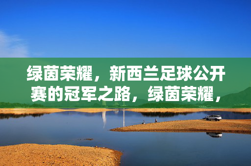 绿茵荣耀,新西兰足球公开赛的冠军之路,绿茵荣耀,新西兰足球公开赛冠军之路