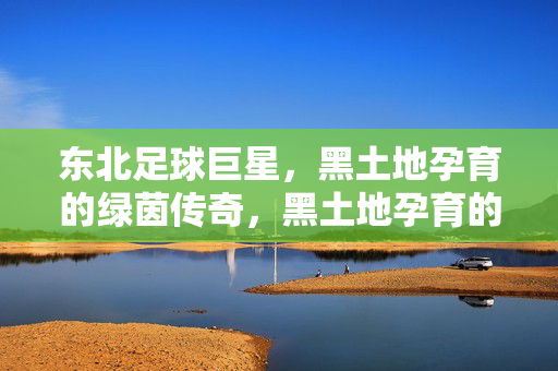 东北足球巨星，黑土地孕育的绿茵传奇，黑土地孕育的东北绿茵传奇
