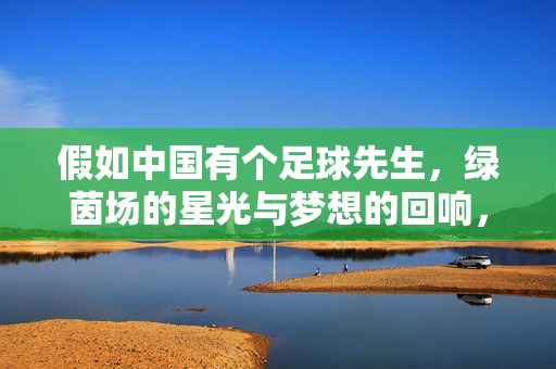 假如中国有个足球先生,绿茵场的星光与梦想的回响,中国足球先生,星光与梦想的绿茵回响
