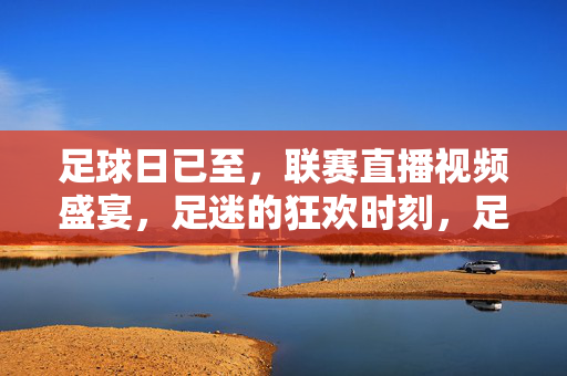 足球日已至，联赛直播视频盛宴，足迷的狂欢时刻，足球日已至，联赛直播盛宴点燃足迷狂欢时刻