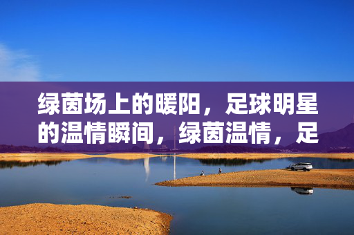 绿茵场上的暖阳,足球明星的温情瞬间,绿茵温情,足球明星的暖阳瞬间