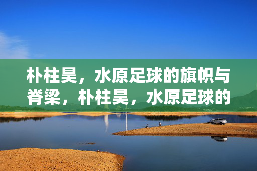 朴柱昊，水原足球的旗帜与脊梁，朴柱昊，水原足球的旗帜与脊梁